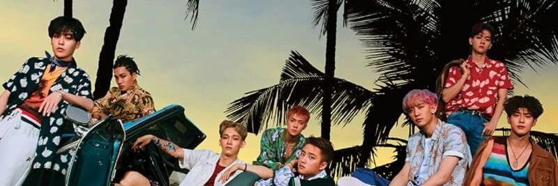 virlilestari's profile banner image