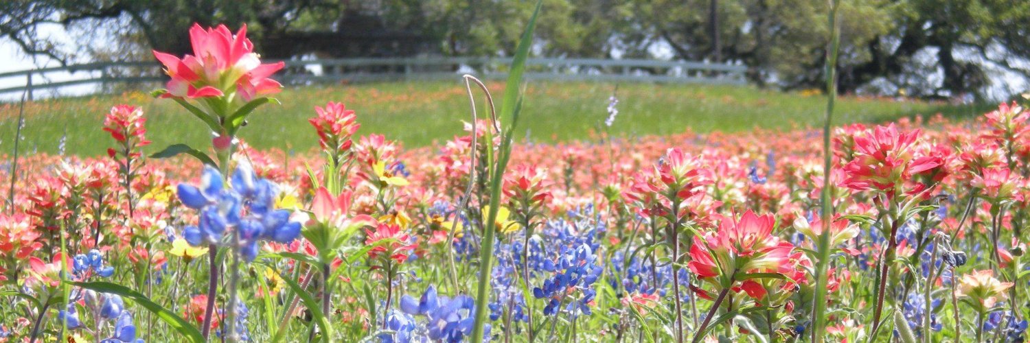 SCBWIBrazos's profile banner image