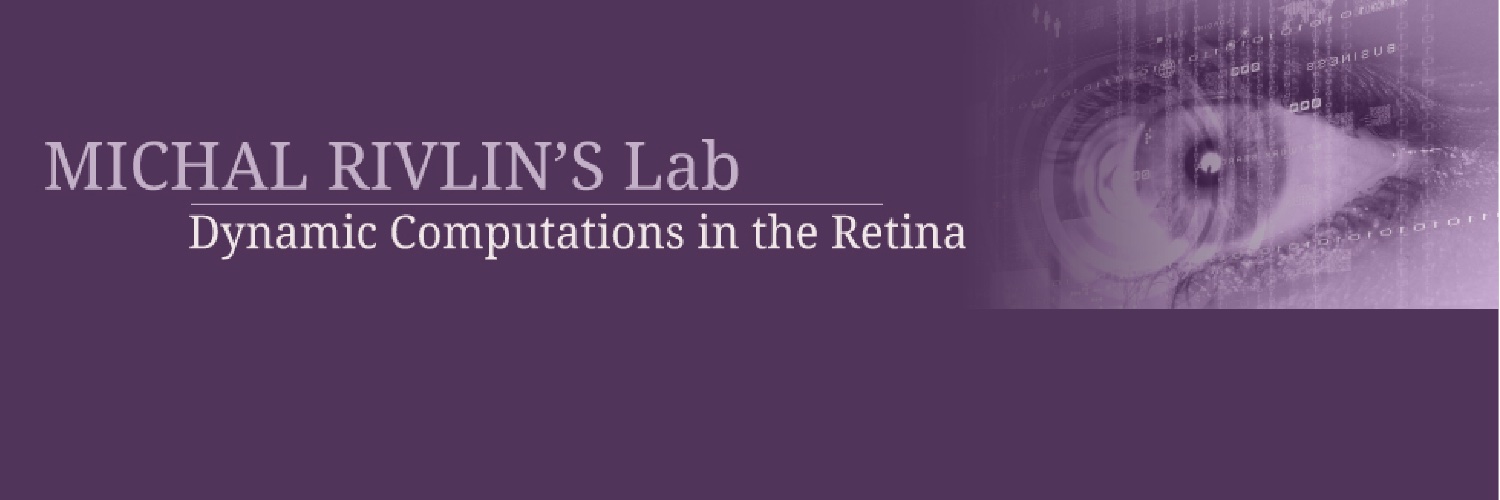 Rivlin Lab's banner