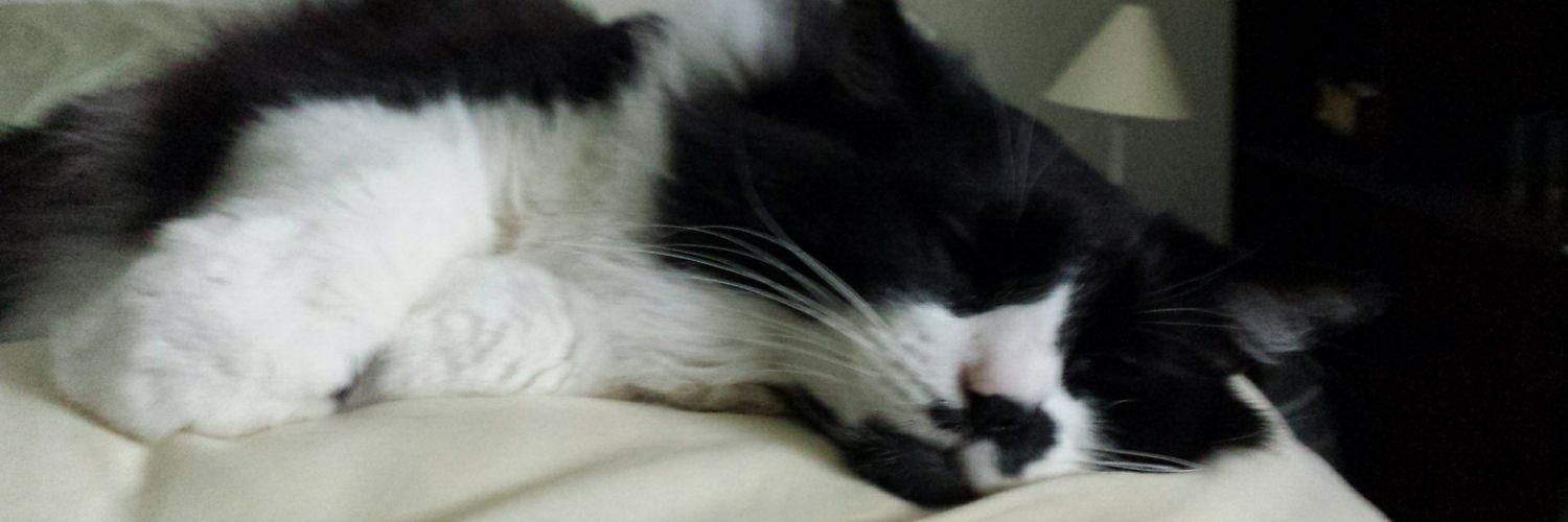 Madison May (Batshit Crazy Redhead) banner