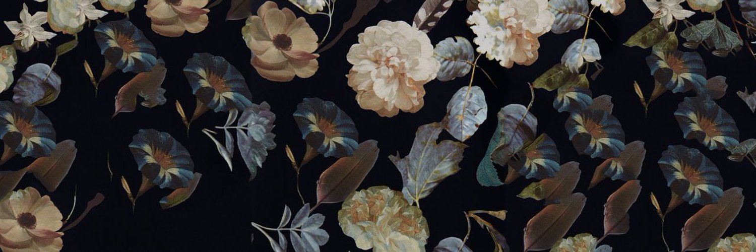 laparecium's profile banner image