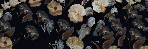 laparecium Profile Banner
