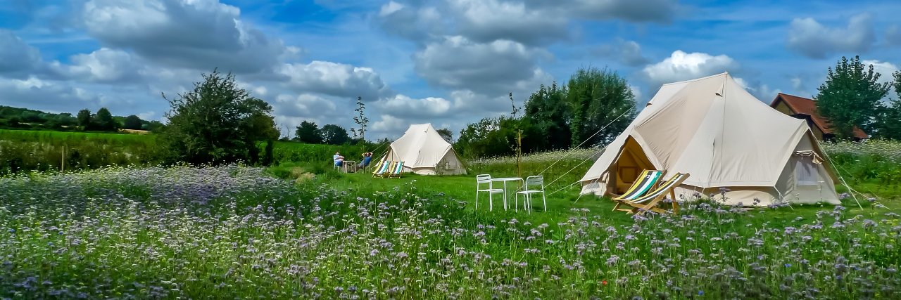 CanvasCamp's profile banner image