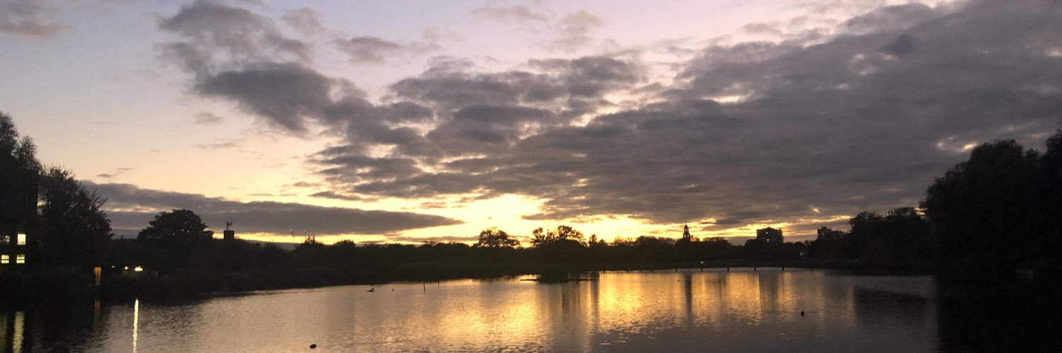BlitzyMark's profile banner image