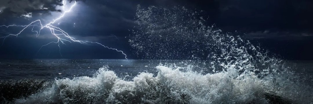 LSeawolf's profile banner image