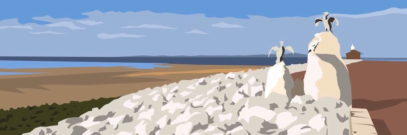 The Morecambe Bay Podcast🎧🎙️🌊🦀 banner