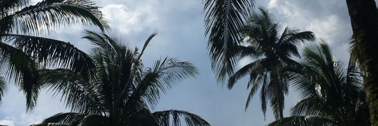 haneymeya_'s profile banner image