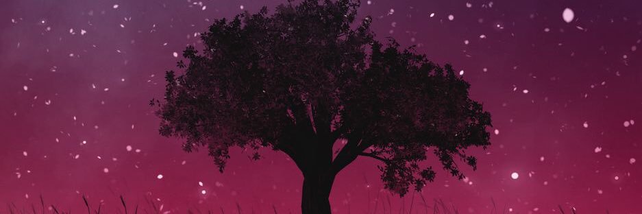 andressasm_'s profile banner image