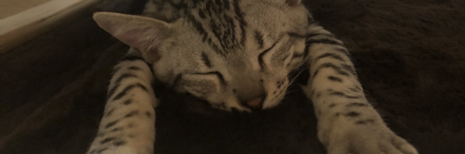 ひろ🐌( '-' 🐌 ）ｶﾀﾂﾑﾘﾁｬﾝ banner