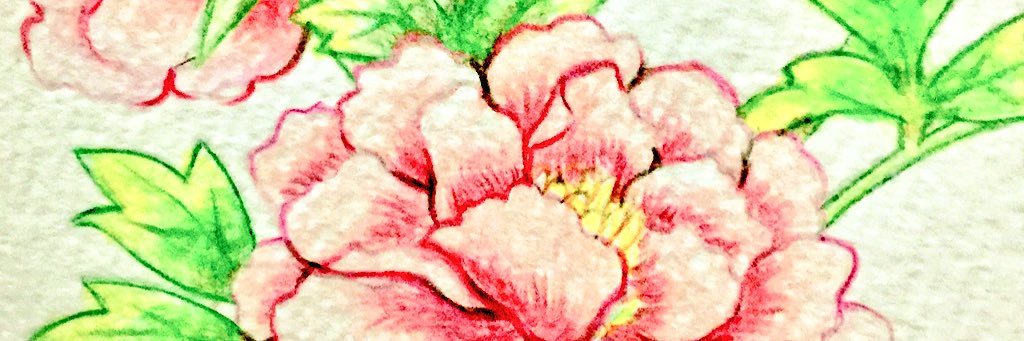 kami429's profile banner image