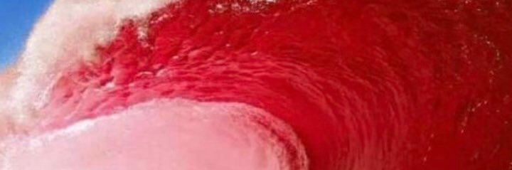 EZTryon's profile banner image