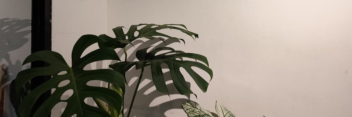 lattee____'s profile banner image