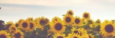 kaddyado's profile banner image