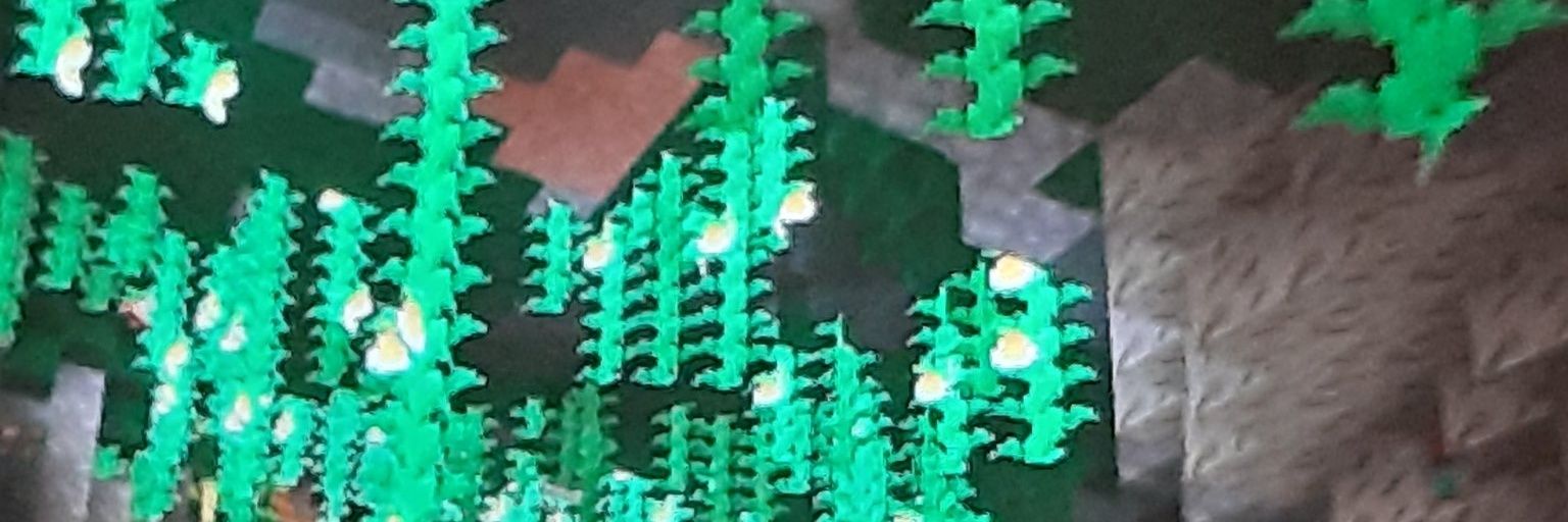ChasmereMC 🇨🇦 banner