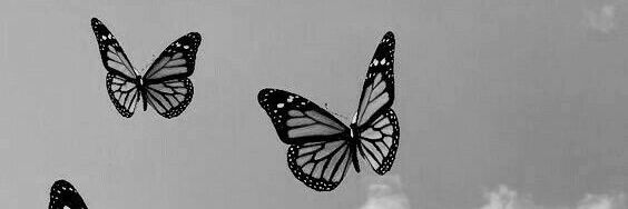 Aúdrey🖤🇰🇪's banner