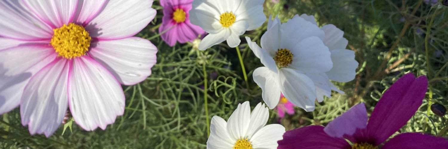 913_101's profile banner image