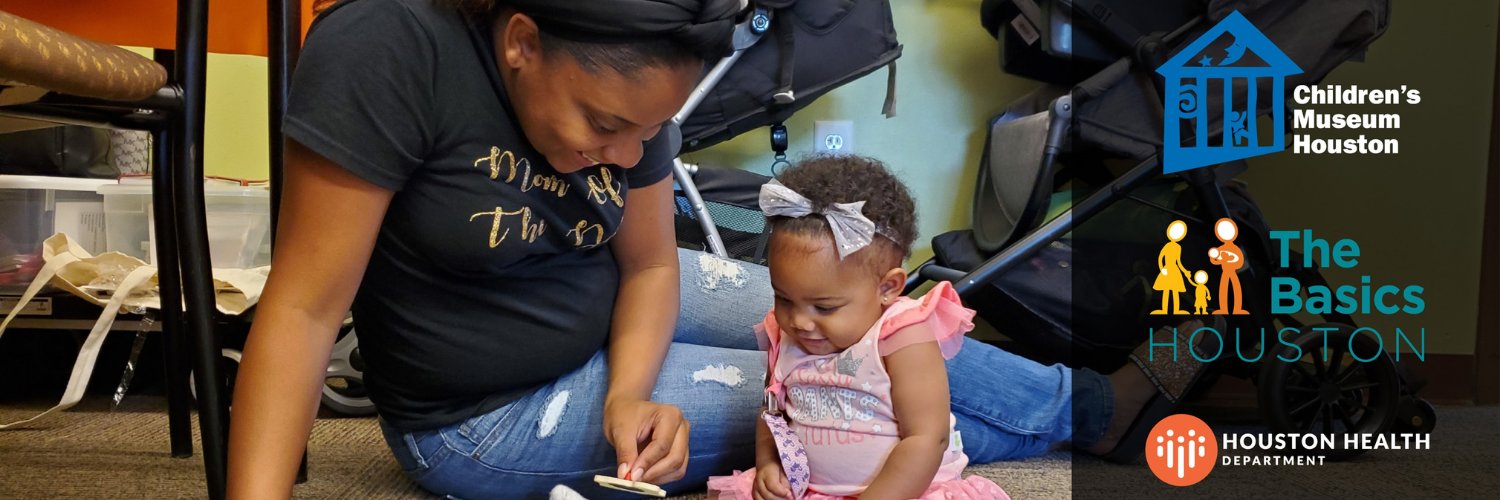 The Basics Houston banner