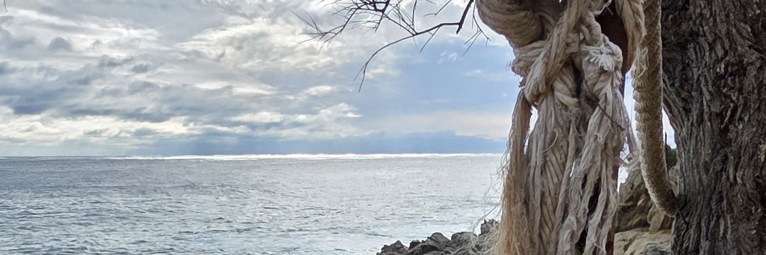 mbernat66's profile banner image