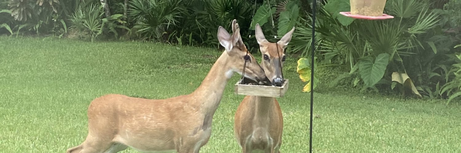 Ms. Logan’s Class banner