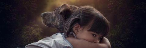 CindyKempl's profile banner image