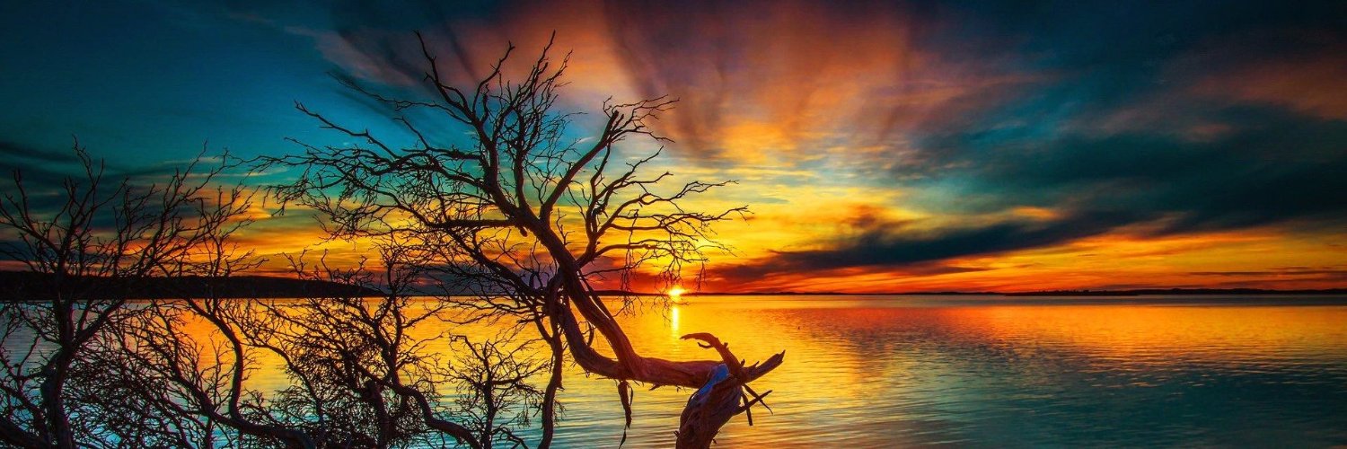 kanimahi's profile banner image