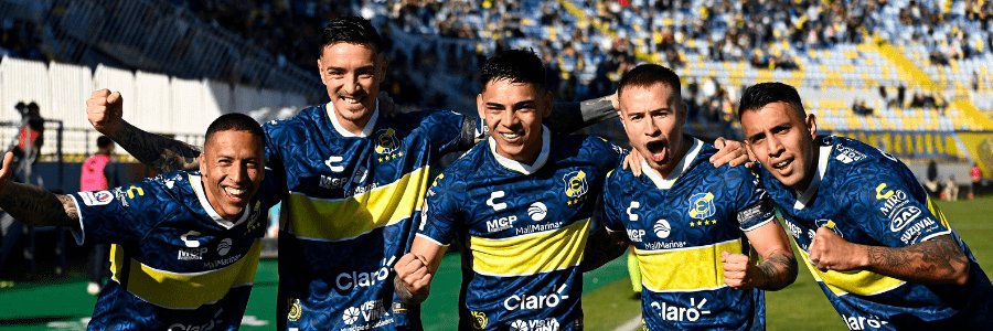 viva el everton banner