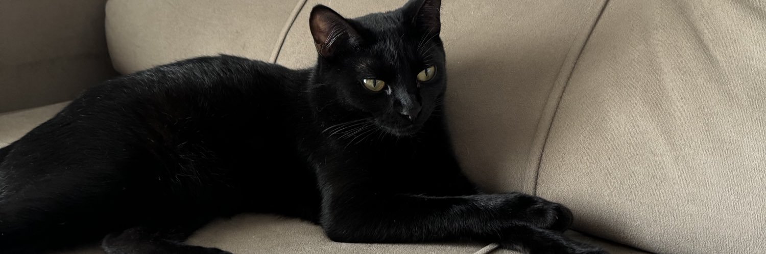 colombolf's profile banner image