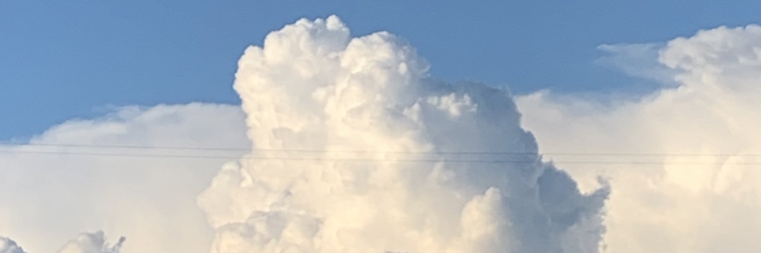 therealpaulpi banner