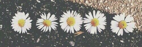 marg_sol's profile banner image