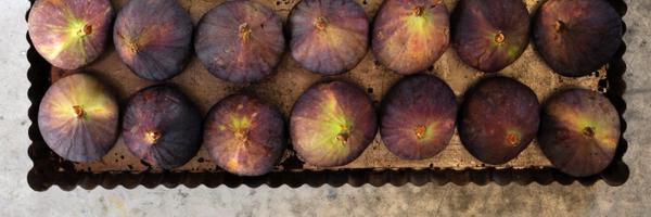 bblancbath Profile Banner