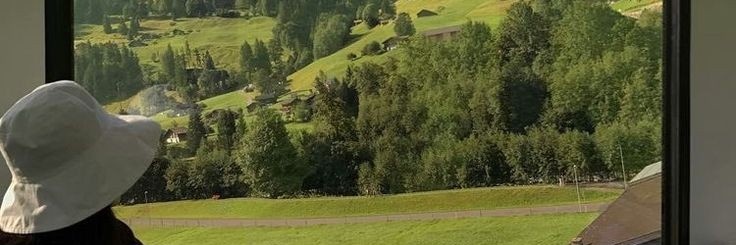 pipi banner