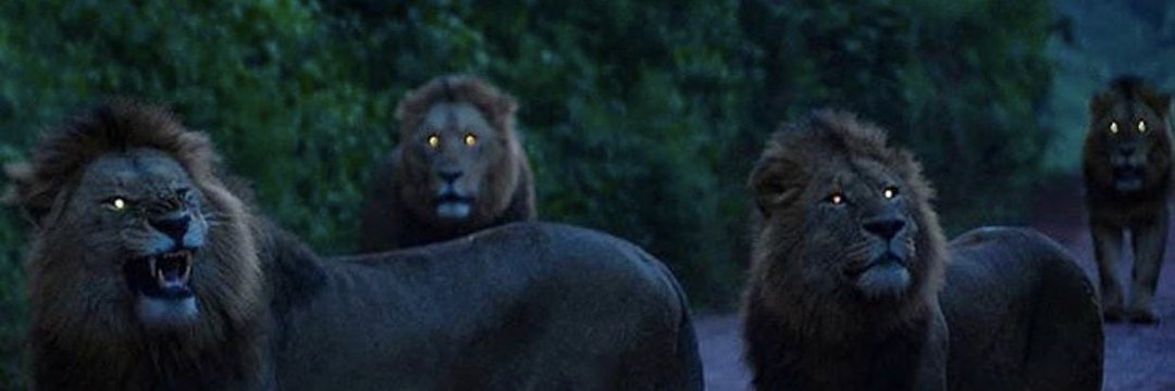 Badger__21's profile banner image