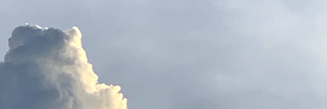 Punnoco_nail's profile banner image