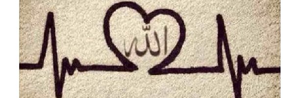 LoveCryptoGems Profile Banner