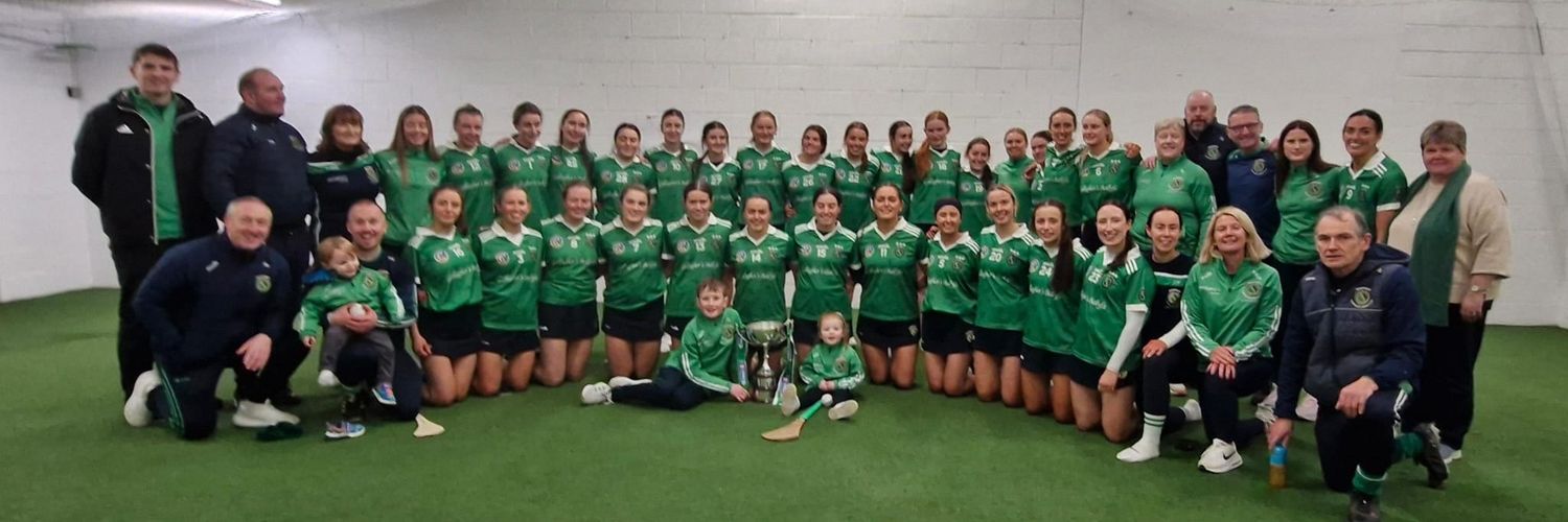 Sarsfields Camogie Club, Galway 🇳🇬 banner