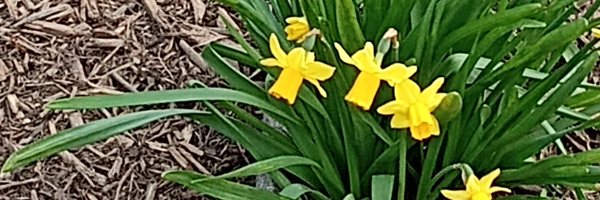 CoreyPe27918455 Profile Banner