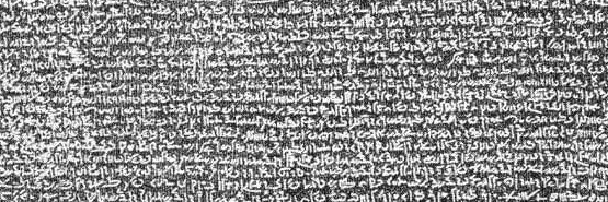 音大生の頂点 banner