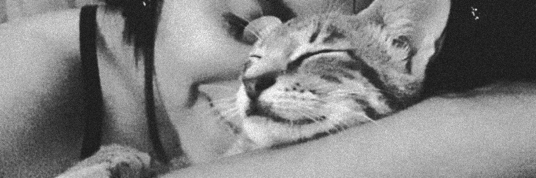 mcrcaty's profile banner image