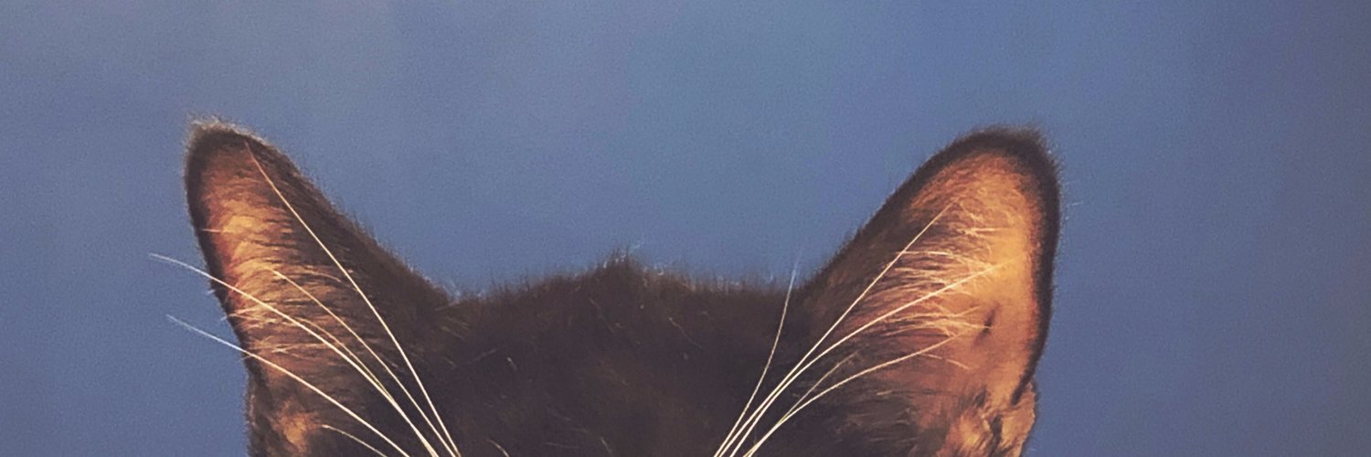 Foots Zeckelman banner