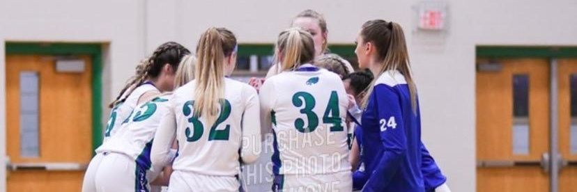 RCB Lady Eagles WBB banner