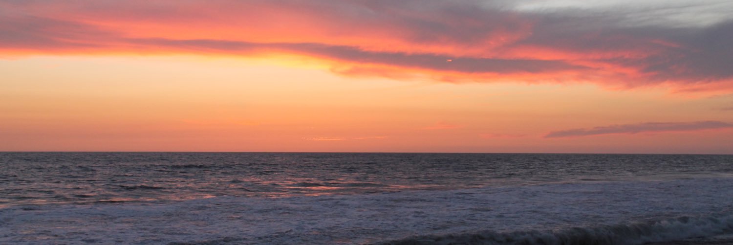 Fernanda890's profile banner image