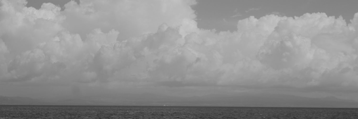 Almuntasil's profile banner image