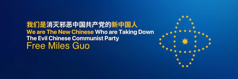 世界新秩序 banner
