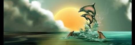 CCEAMPDELFIN's profile banner image