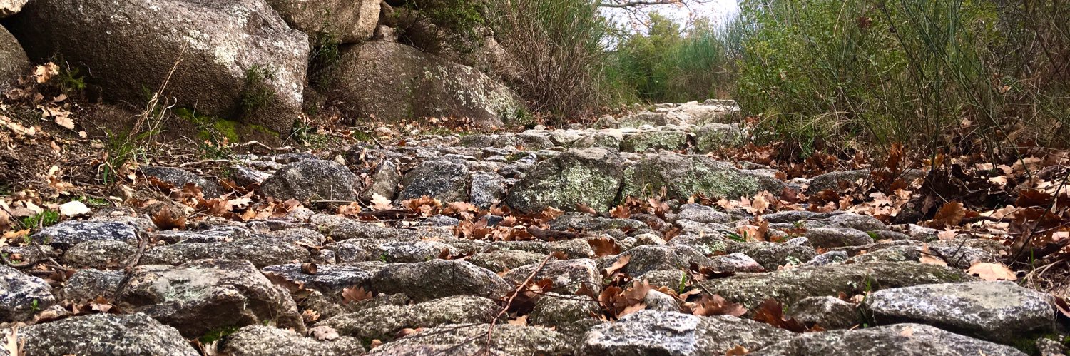 Frederik Bombosch banner