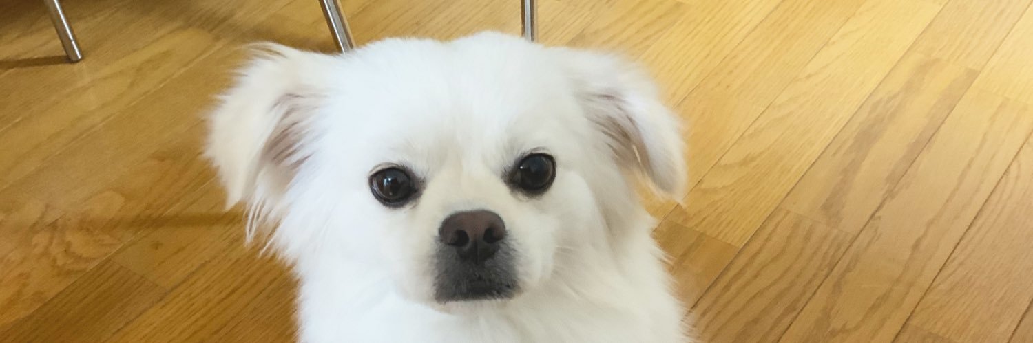 777booon's profile banner image