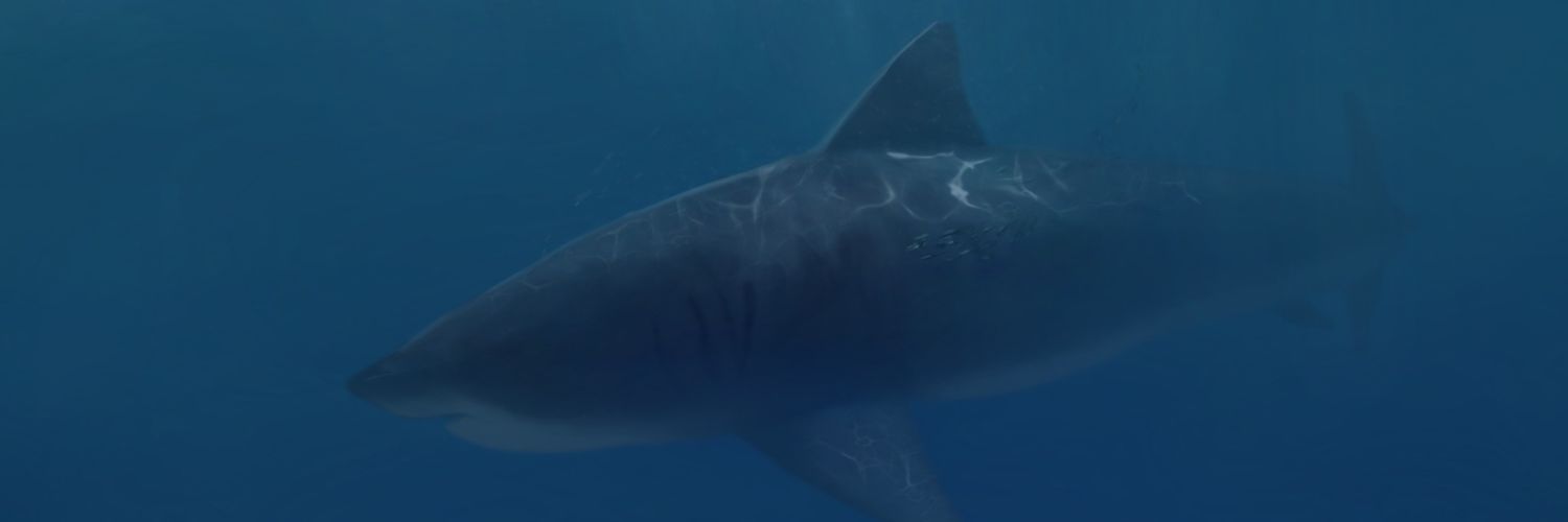 ScornfulMoney's profile banner image