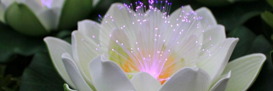 Patrick88747636's profile banner image