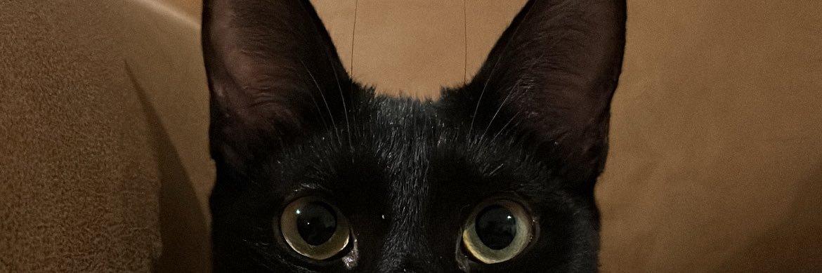 murguiaconN's profile banner image