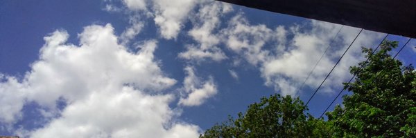 snowchunkymunky Profile Banner